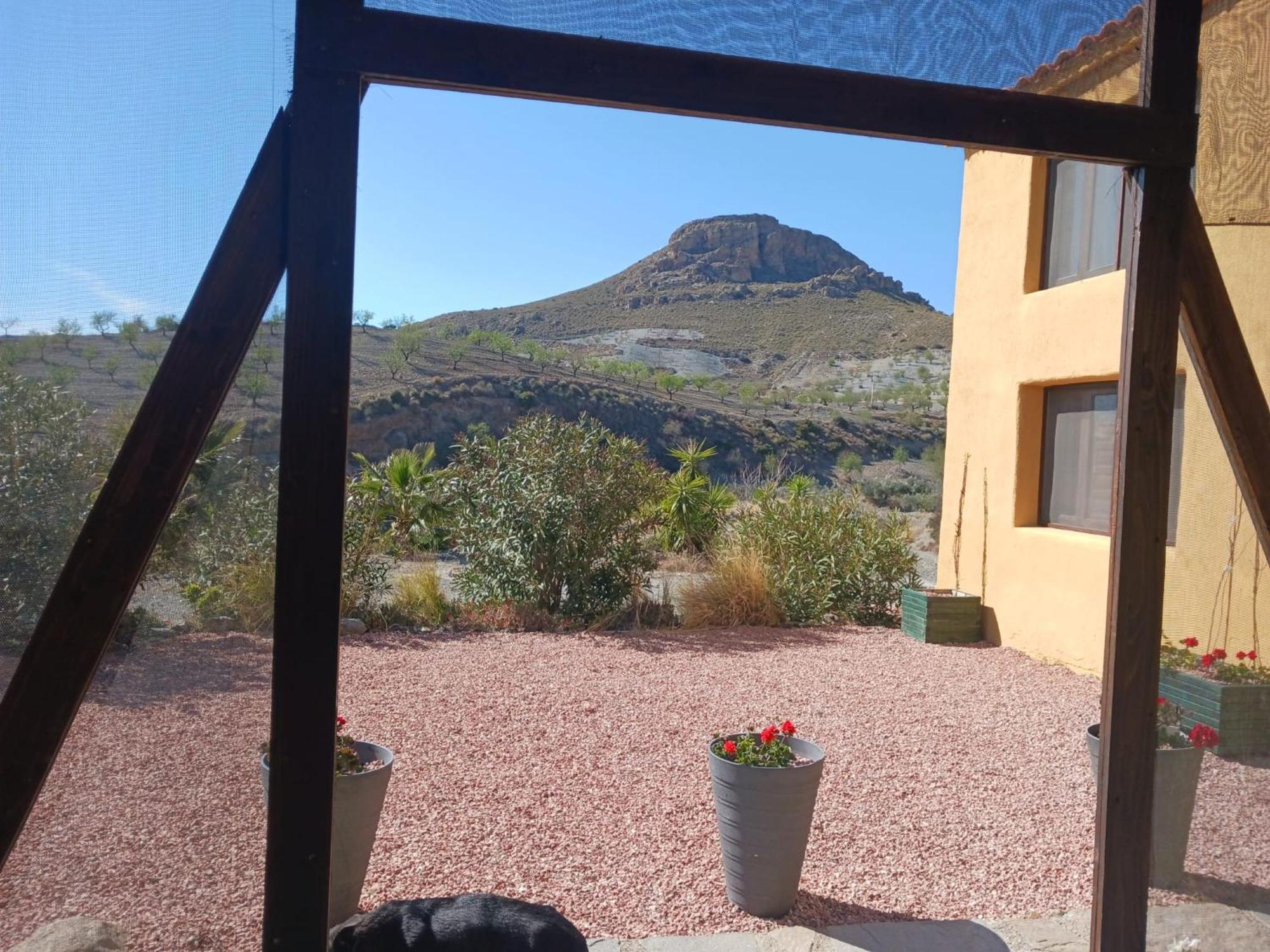 Casa Rural Los Cerezos アルボクス エクステリア 写真