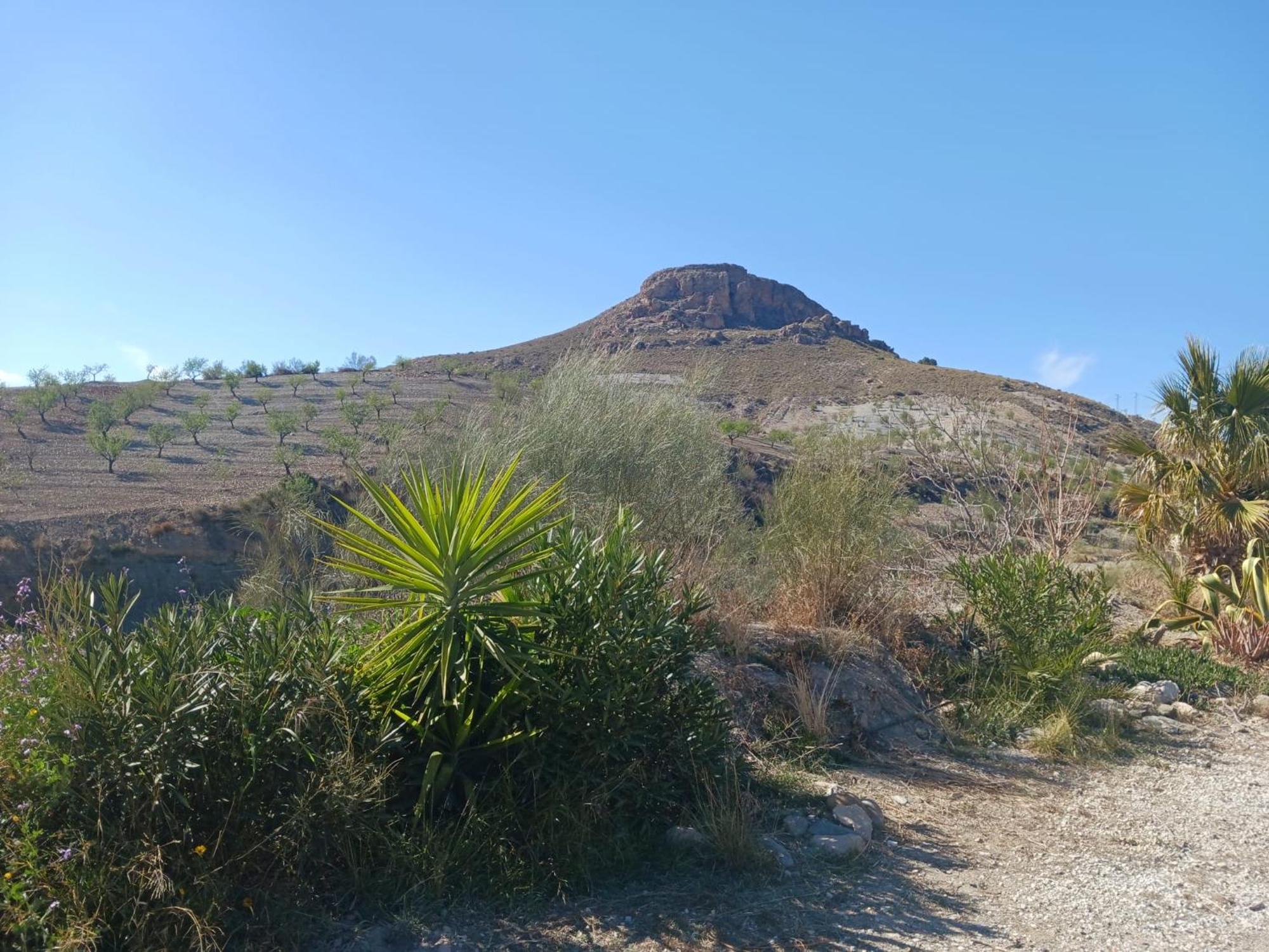 Casa Rural Los Cerezos アルボクス エクステリア 写真